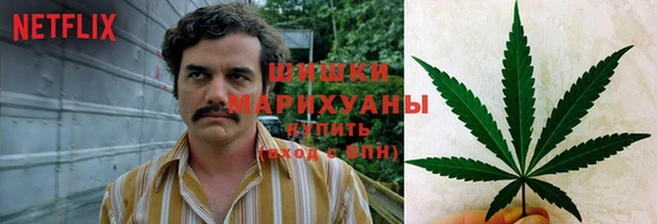 герыч Мегион