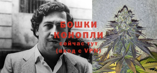 дживик Медвежьегорск