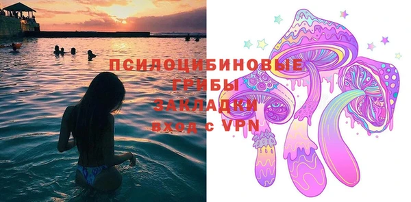 твердый Медногорск