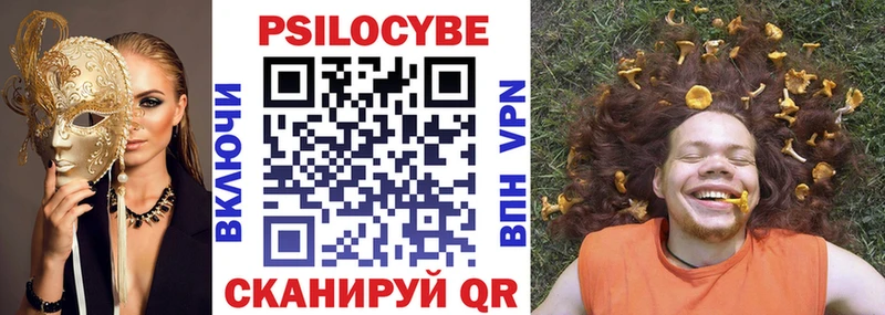 Купить закладки  Жуков  Галлюциногенные грибы Psilocybe 